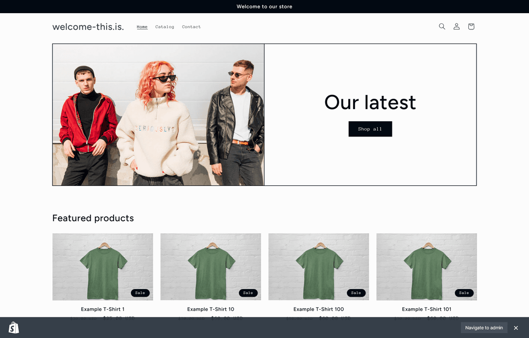 Shopify Development Store